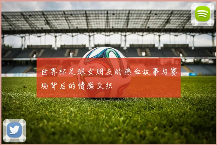 世界杯足球女朋友的热血故事与赛场背后的情感交织