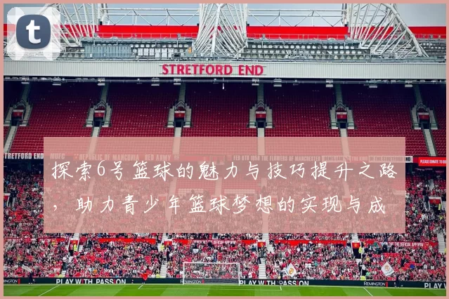 探索6号篮球的魅力与技巧提升之路，助力青少年篮球梦想的实现与成长